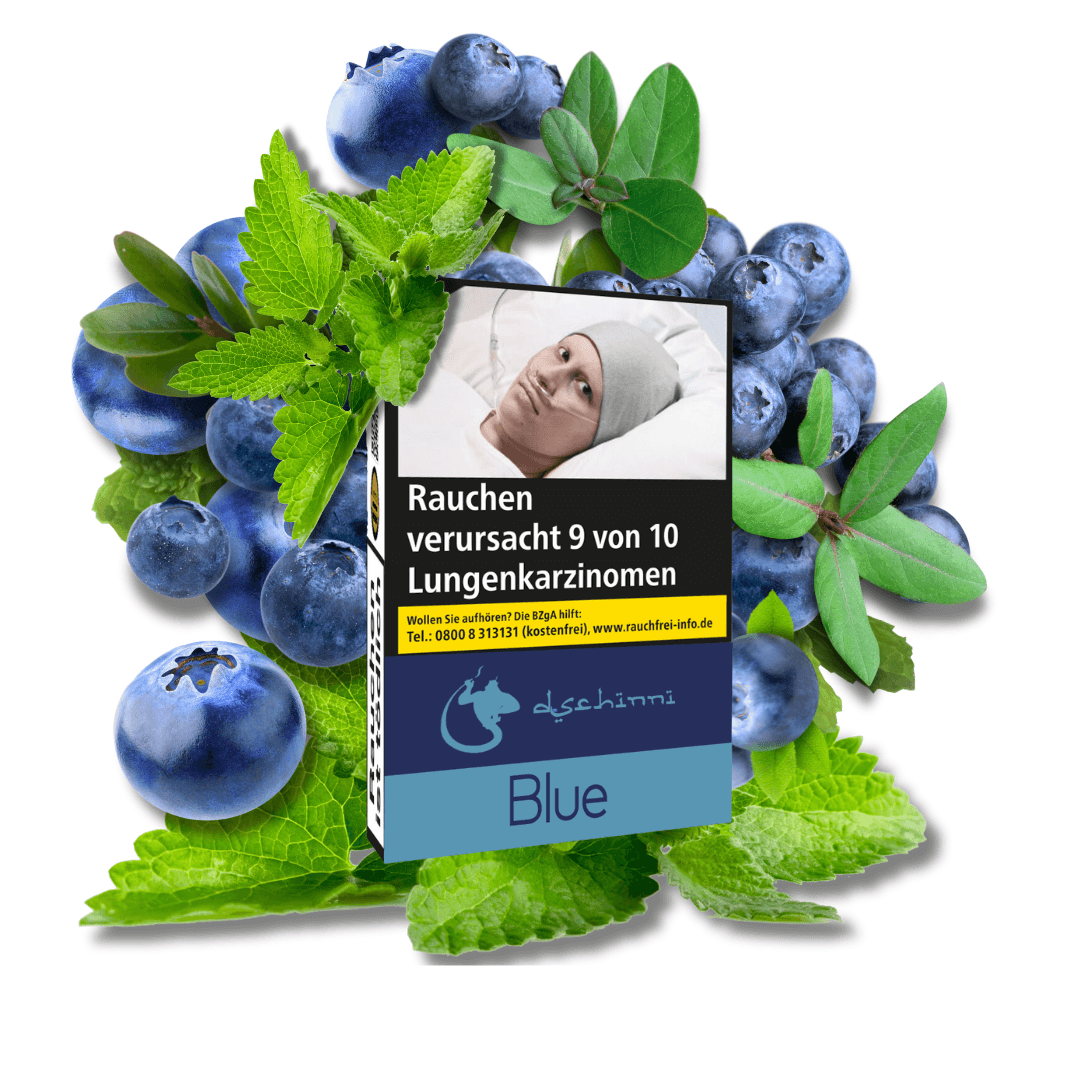 Blaubeere Minze Shisha Tabak 25g Dschinni